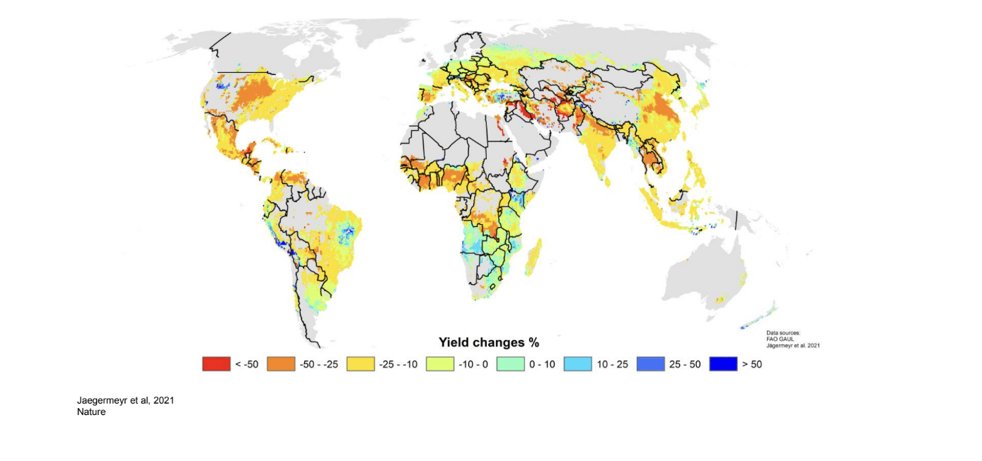 Proyección del cambio en los rendimientos agrícolas a nivel global ante escenarios de cambio climático. Las zonas en rojo y naranja reflejan reducciones severas en la productividad (de hasta más del 50 %), mientras que las áreas en azul muestran aumentos potenciales. (Fuente Datos: Jaegermeyr et al., 2021, Nature.)